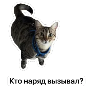 Стикер @SadfmanReserve стикеры от Изи - 6