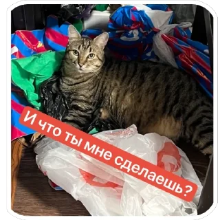 Стикер @SadfmanReserve стикеры от Изи - 11