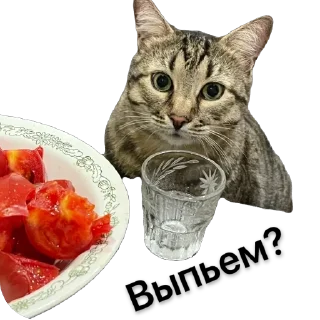 Стикер @SadfmanReserve стикеры от Изи - 10