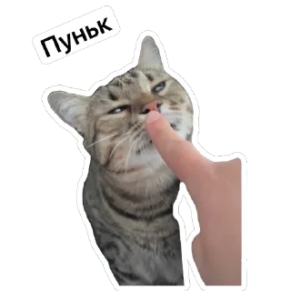 Стикер @SadfmanReserve стикеры от Изи - 2