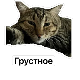 Стикер @SadfmanReserve стикеры от Изи - 9