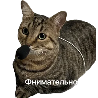 Стикер @SadfmanReserve стикеры от Изи - 5