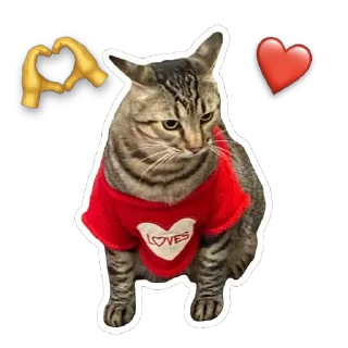 Стикер @SadfmanReserve стикеры от Изи - 1