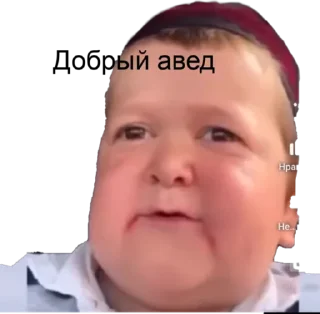 Sticker Saidkin - 11