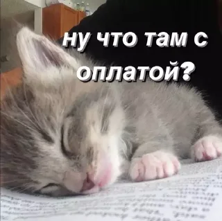 Sticker @saintwb СТИКЕРЫ ДЛЯ АДМИНОВ - 9