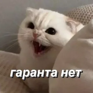 Sticker @saintwb СТИКЕРЫ ДЛЯ АДМИНОВ - 10