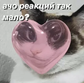 Sticker @saintwb СТИКЕРЫ ДЛЯ АДМИНОВ - 5