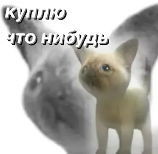 Sticker @saintwb СТИКЕРЫ ДЛЯ АДМИНОВ - 1