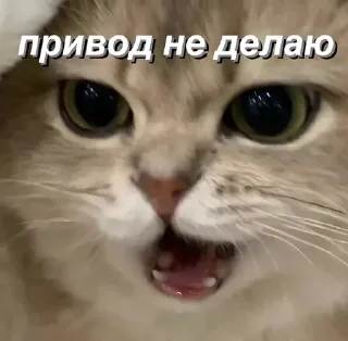 Sticker @saintwb СТИКЕРЫ ДЛЯ АДМИНОВ - 4