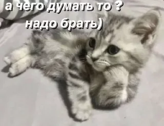 Sticker @saintwb СТИКЕРЫ ДЛЯ АДМИНОВ - 11