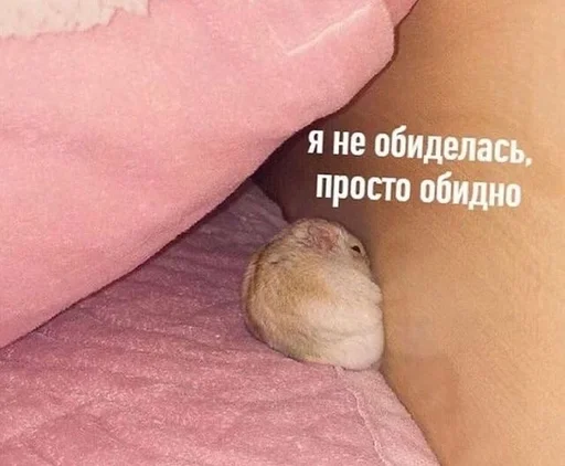 Стикер Ohaë, oni-chan by @fStikBot - 10