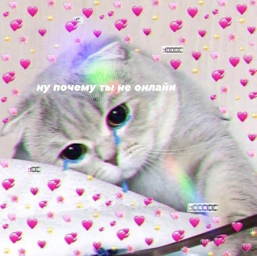 Стикер Ohaë, oni-chan by @fStikBot - 9