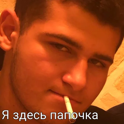 Sticker Sarkis TV - 7