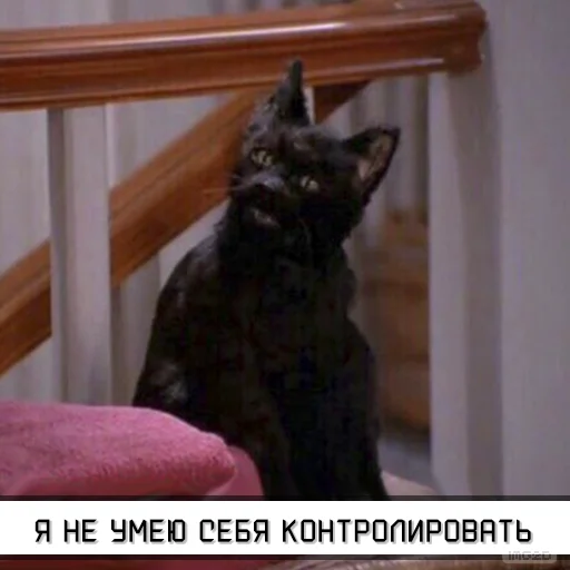 Sticker Salem_RU - 1