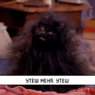 Стикер Salem_RU @IMG2D - 0