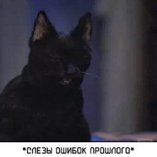 Стикер Salem_RU @IMG2D - 6