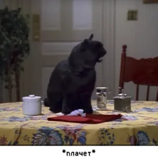 Стикер Salem_RU @IMG2D - 8