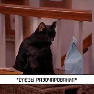 Стикер Salem_RU @IMG2D - 4