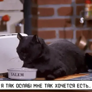 Стикер Salem_RU @IMG2D - 5