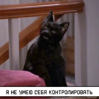 Стикер Salem_RU @IMG2D - 3