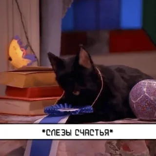 Стикер Salem_RU @IMG2D - 9