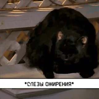 Стикер Salem_RU @IMG2D - 7