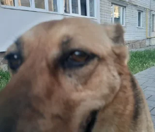 Sticker Сольовики - 4