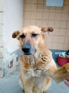 Sticker Сольовики - 0