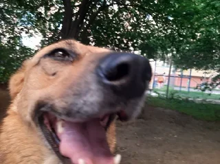 Sticker Сольовики - 9