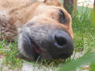 Sticker Сольовики - 7