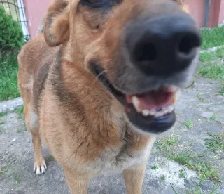 Sticker Сольовики - 10