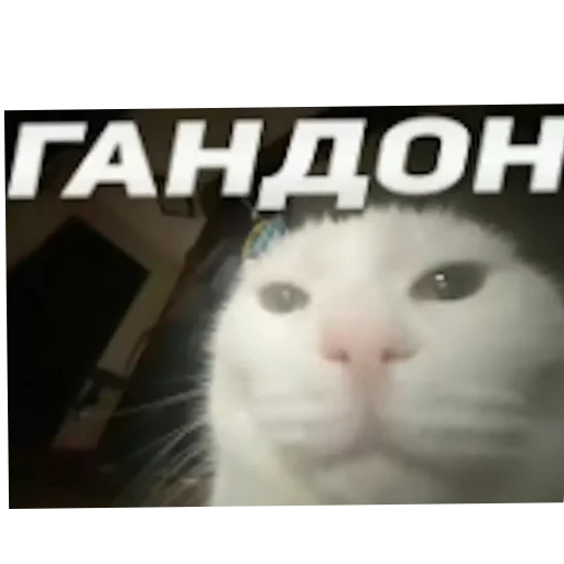 Sticker SamDelal93 - 1