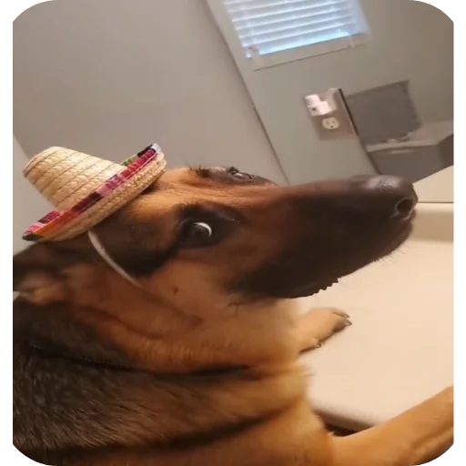 Sticker SamDelal93 - 1