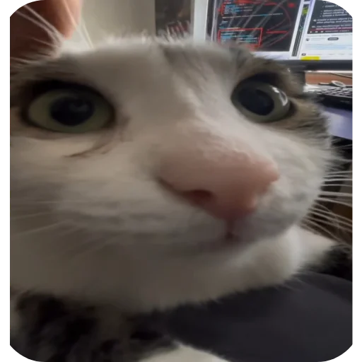 Sticker SamDelal93 - 1