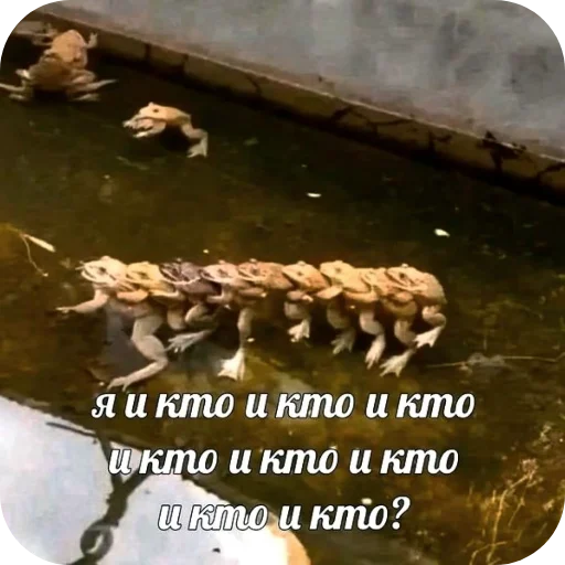 Sticker SamDelal93 - 1