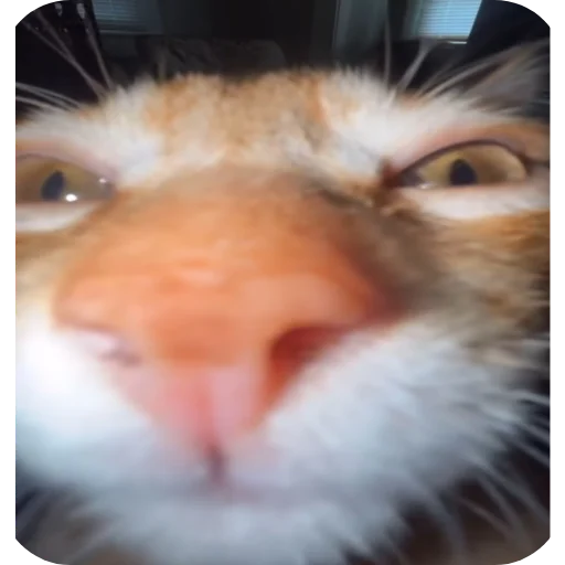 Sticker SamDelal93 - 1