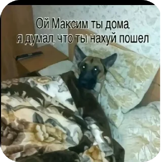 Стикер Сам делал - 0