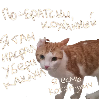 Стикер SamWayOm - 10