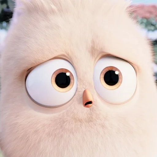 кошка мех животное