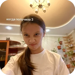 Стикер самира маракасик - 4