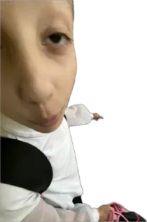 Стикер самира маракасик - 2