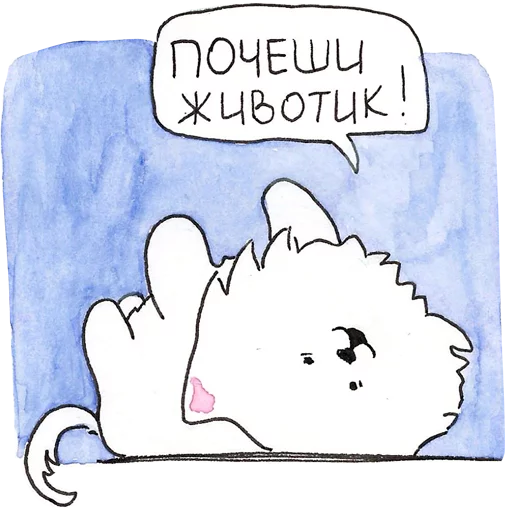 Самоедик Ачи - 