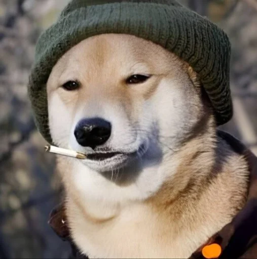 Sticker Samura9595 - 1