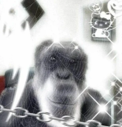 Стикер Samura9595 - 1