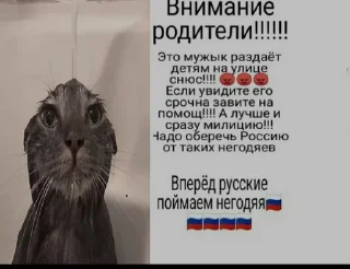 Стикер БРАВЛ СТАЗ - 10