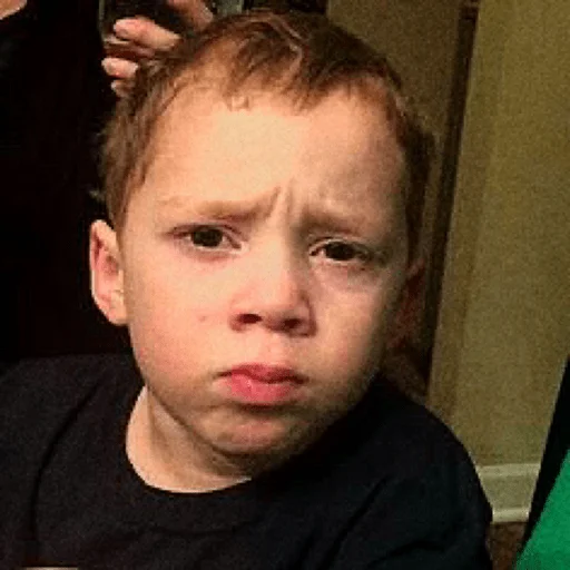 Человек человеческое лицо комнатный