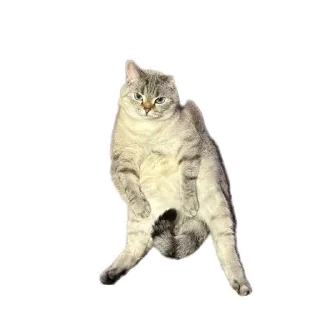 Sticker Сансито Паразито - 10