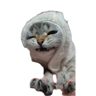 Sticker Сансито Паразито - 3