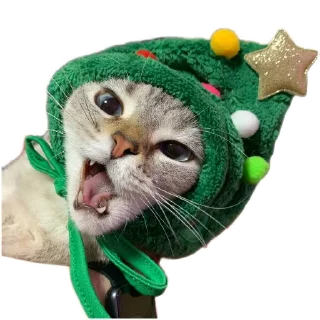 Sticker Сансито Паразито - 1