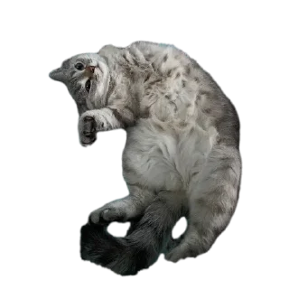 Sticker Сансито Паразито - 4